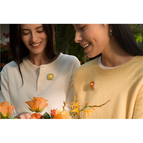 DJI mini 2 magnetic 4